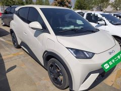 BYD Seagull Glory Edition 405km Flying Edition - ფოტო 4