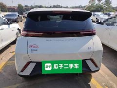 BYD Seagull Glory Edition 405km Flying Edition - ფოტო 6