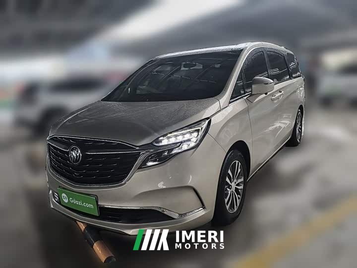 Buick GL8 ES Luxe 653T Comfort