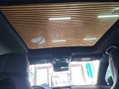 BYD Song Plus New Energy EV Glorious Edition 520km Luxury - ფოტო 18