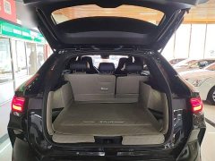 BYD Song Plus New Energy EV Glorious Edition 520km Luxury - ფოტო 19