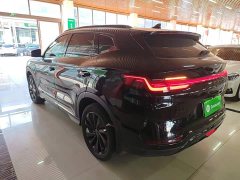 BYD Song Plus New Energy EV Glorious Edition 520km Luxury - ფოტო 5