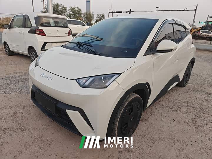 BYD Seagull Vitality Edition - ავტომობილი ჩინეთიდან