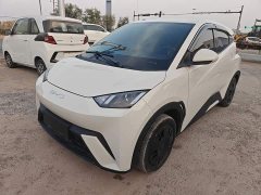 BYD Seagull Vitality Edition - ფოტო 1