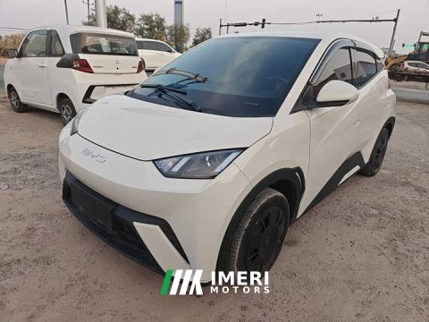 2023 BYD Seagull Vitality Edition - автомобиль из Китая