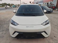 BYD Seagull Vitality Edition - ფოტო 7