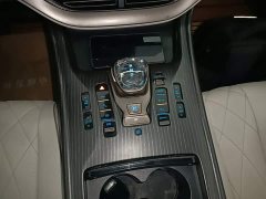 Denza BYD Denza D9 2022 EV 620 Premium - ფოტო 14