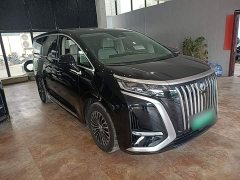 Denza BYD Denza D9 2022 EV 620 Premium - ფოტო 4