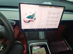 Tesla Model Y Rear-Wheel Drive - ფოტო 10