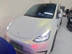 Tesla Model Y Rear-Wheel Drive - ფოტო 3
