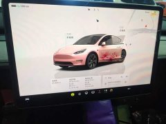 Tesla Model Y Rear-Wheel Drive - ფოტო 9