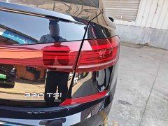 Volkswagen Passat 330TSI Starry Sky Elite - ფოტო 8