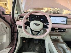 Geely Geometry E Firefly 301km Starlight - ფოტო 11