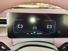 Geely Geometry E Firefly 301km Starlight - ფოტო 12
