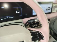 Geely Geometry E Firefly 301km Starlight - ფოტო 14