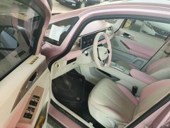 Geely Geometry E Firefly 301km Starlight - ფოტო 16