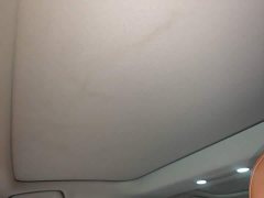 GAC AION RT 520 Smart Luxury Edition - ფოტო 18
