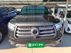 Wuling Cannon 2.0T Passenger Global Edition Automatic Diesel 2WD Comfort Standard Box GW4D20M - ფოტო 3