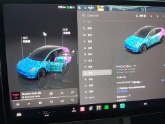 Tesla Model Y Long Range All-Wheel Drive - ფოტო 12