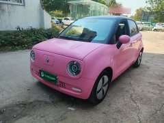 ORA Black Cat 301km Cute Pet Edition LFP Battery - ფოტო 1