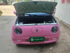 ORA Black Cat 301km Cute Pet Edition LFP Battery - ფოტო 20