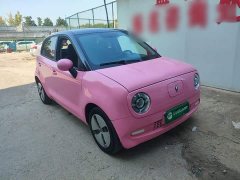 ORA Black Cat 301km Cute Pet Edition LFP Battery - ფოტო 4