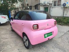 ORA Black Cat 301km Cute Pet Edition LFP Battery - ფოტო 5
