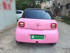 ORA Black Cat 301km Cute Pet Edition LFP Battery - ფოტო 6