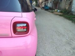 ORA Black Cat 301km Cute Pet Edition LFP Battery - ფოტო 8