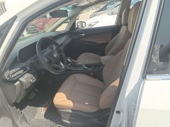Buick GL6 2021 323T Hybrid Connected Luxury - ფოტო 15