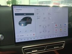 Li Auto L6 Pro - ფოტო 13