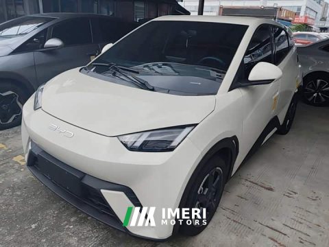 2024 BYD Seagull Freedom Edition - автомобиль из Китая