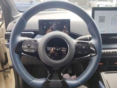 BYD Seagull 2023 Freedom Edition - ფოტო 11