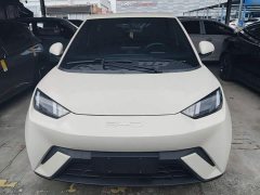 BYD Seagull 2023 Freedom Edition - ფოტო 3
