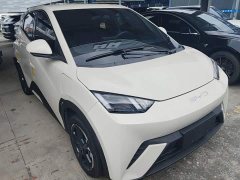 BYD Seagull 2023 Freedom Edition - ფოტო 4