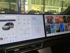 Li Auto L6 Pro - ფოტო 13