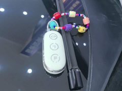 Li Auto L6 Pro - ფოტო 9