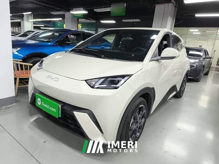 BYD Seagull 2025 305km Freedom Edition - ავტომობილი ჩინეთიდან