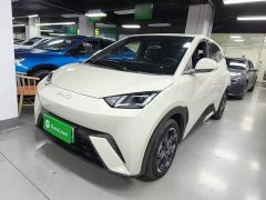 BYD Seagull 2025 305km Freedom Edition - ფოტო 1