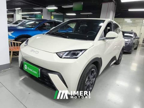 2024 BYD Seagull 2025 305km Freedom Edition - ავტომობილი ჩინეთიდან