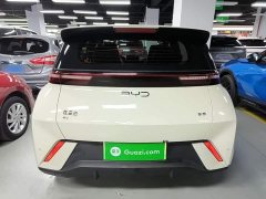 BYD Seagull 2025 305km Freedom Edition - ფოტო 6