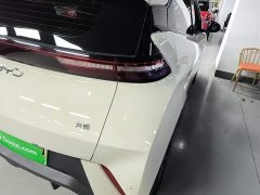 BYD Seagull 2025 305km Freedom Edition - ფოტო 8