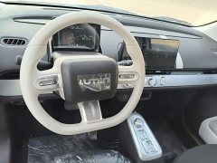 Changan Lumin Treasure Edition 205km Cool Love White CATL - ფოტო 11