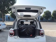 Changan Lumin Treasure Edition 205km Cool Love White CATL - ფოტო 19