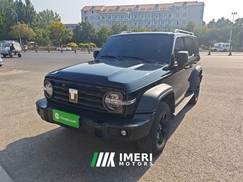 2024 Tank 300 2.0T Conqueror - ავტომობილი ჩინეთიდან