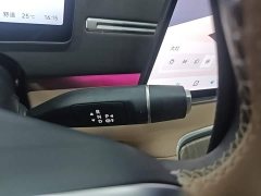 Leapmotor C11 Pure Electric 640 LiDAR Smart Premium Edition - ფოტო 14