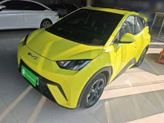 BYD Seagull Freedom Edition - ფოტო 2