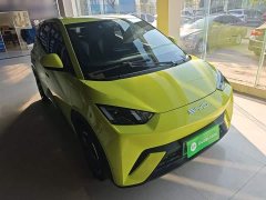 BYD Seagull Freedom Edition - ფოტო 4