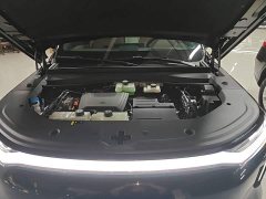 GAC Trumpchi Aion S7 205km Max Edition - ფოტო 20