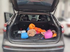 Nissan Qashqai 2.0L CVT Luxury - ფოტო 10